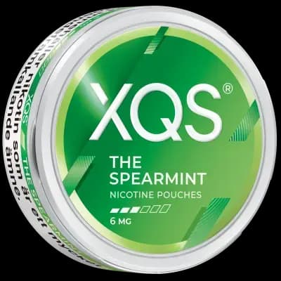 XQS The Spearmint 6mg nicotine pouch can